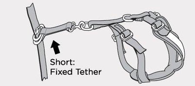 AllSafe Tether