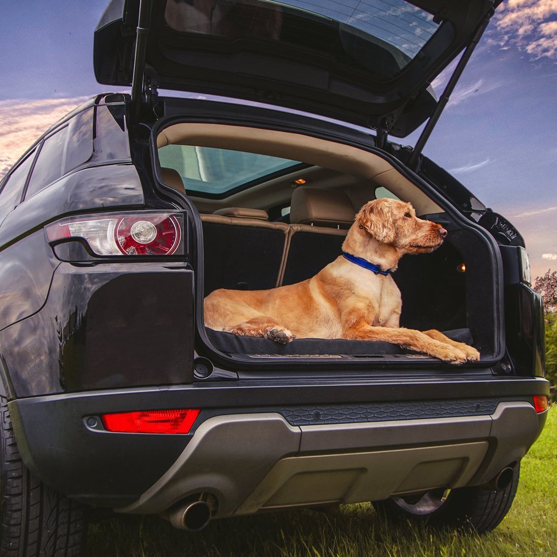 Buddy Rest Voyager Orthopedic Cargo Dog Bed