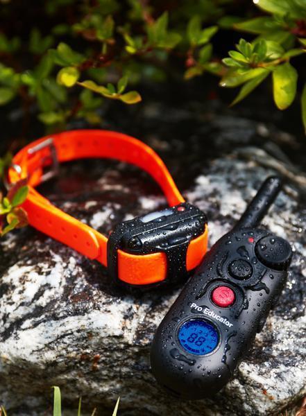 Educator PE-903 1/2 mile Pro Remote Three Dog Training Collar by E-Collar