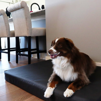 Buddy Rest Tough Buddy Titan Memory Foam Dog Bed