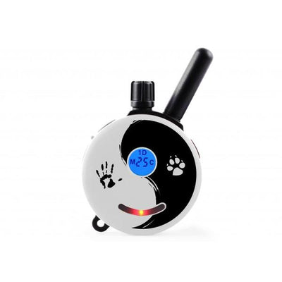 Educator ET-300 / 302 Replacement Remote