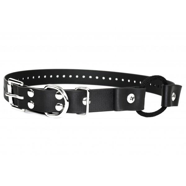 Educator K9-802 1 mile Remote Two Dog Training Collar by E-Collar