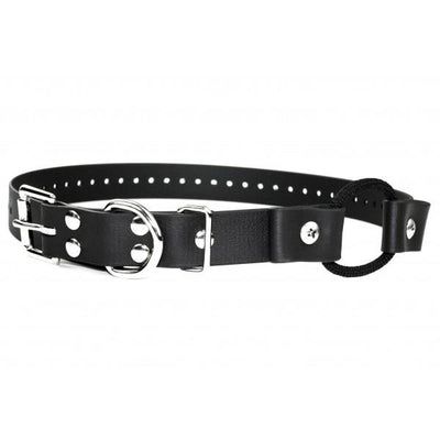 Educator K9-802 1 mile Remote Two Dog Training Collar by E-Collar