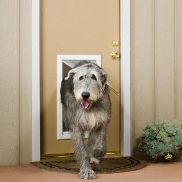 Endura Flap Pet Door for 'People' Doors