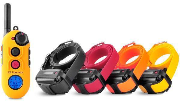 Educator EZ-904 1/2 mile Remote Four Dog Training Collar by E-Collar
