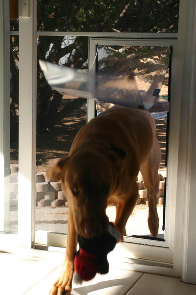 Hale Pet Door for Screens