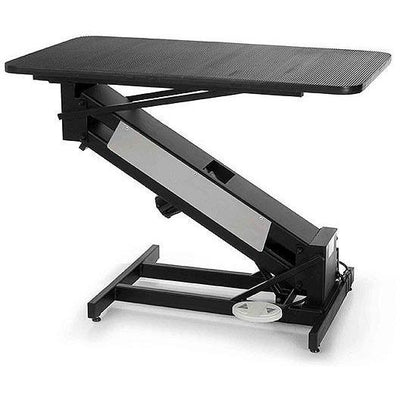 PetLift MasterLift LowRider Electric Dog Grooming Table