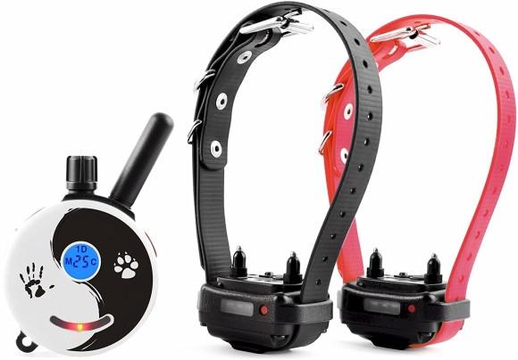 Mini Educator ET-302 1/2 Mile Remote Two Dog Training Collar by E-Collar