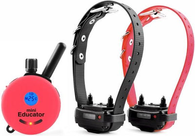 Mini Educator ET-302 1/2 Mile Remote Two Dog Training Collar by E-Collar