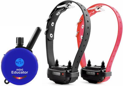 Mini Educator ET-302 1/2 Mile Remote Two Dog Training Collar by E-Collar