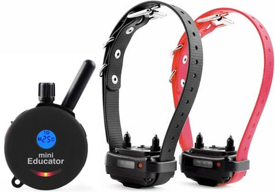 Mini Educator ET-302 1/2 Mile Remote Two Dog Training Collar by E-Collar
