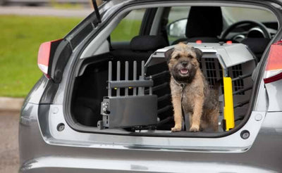 MIM Safe Variocage Compact Dog Cage