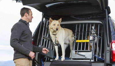 MIM Safe Variogate Universal Cargo Barrier