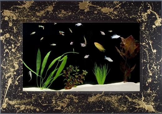 Piquarium Wall Mounted Aquarium