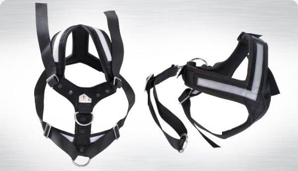 AllSafe Dog Seat Belt Harness