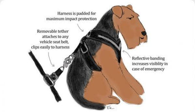 AllSafe Dog Seat Belt Harness