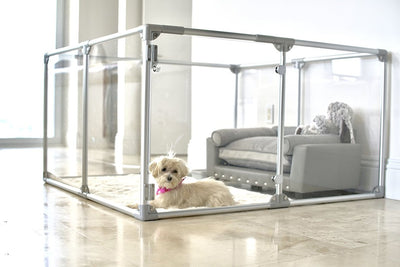 Clearly Loved Pets Medium Lucidium Clear Dog Pen