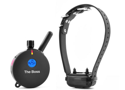 Educator ET-800 1 mile "The Boss" Remote Dog Training Collar by E-Collar