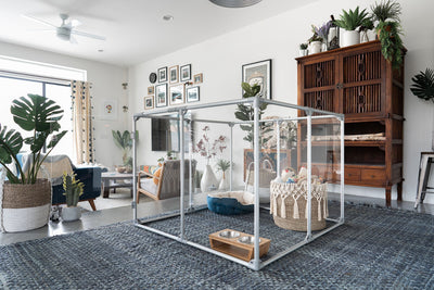 Clearly Loved Pets Medium Lucidium Clear Dog Pen