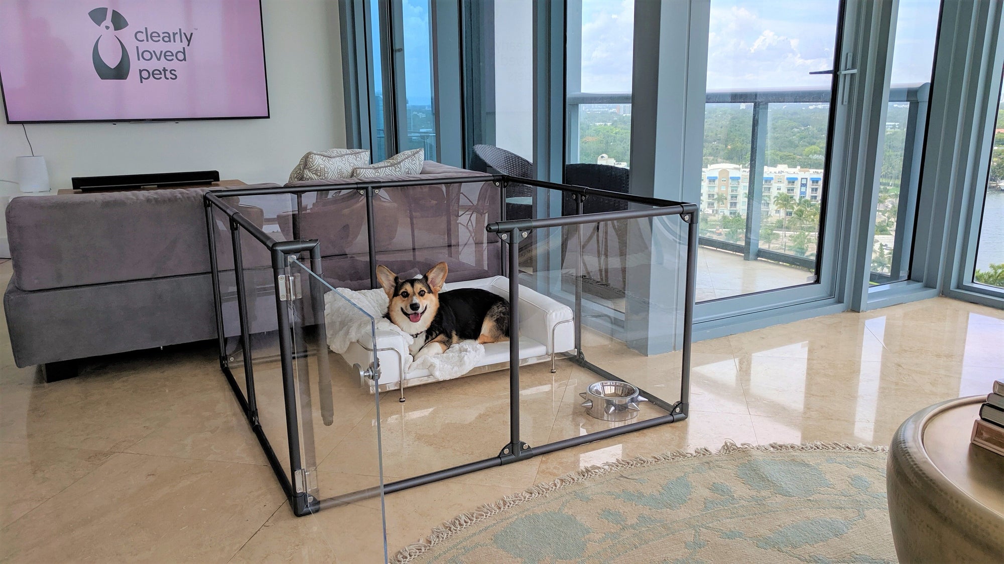 Clearly Loved Pets Medium Lucidium Clear Dog Pen