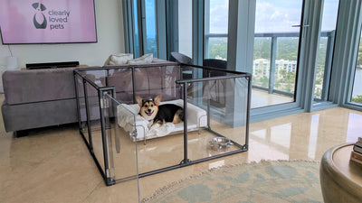 Clearly Loved Pets Medium Lucidium Clear Dog Pen