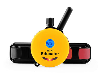 Mini Educator ET-302 1/2 Mile Remote Two Dog Training Collar by E-Collar