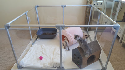 Clearly Loved Pets Medium Lucidium Clear Dog Pen