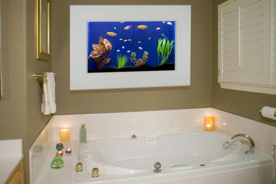 Piquarium Wall Mounted Aquarium