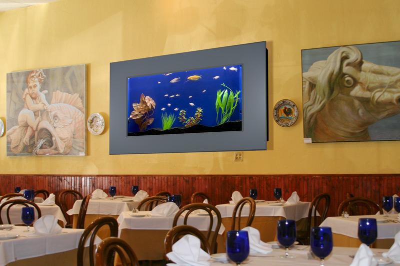 Piquarium Wall Mounted Aquarium