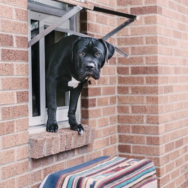 Endura Flap Thermo Sash 3e Pet Doors for Windows