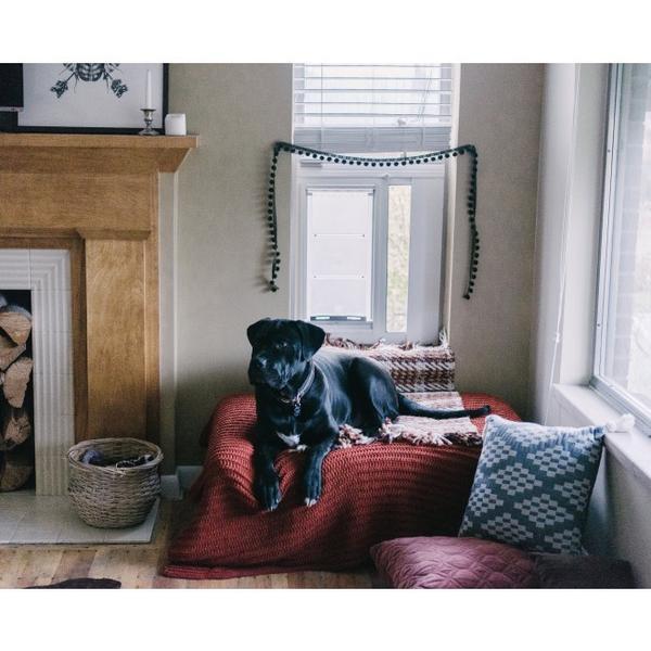 Endura Flap Thermo Sash 3e Pet Doors for Windows