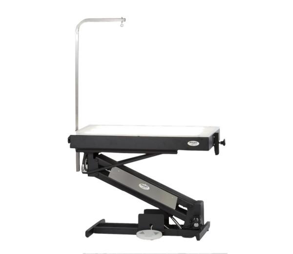 PetLift MasterLift LowRider Lighted Top Electric Dog Grooming Table