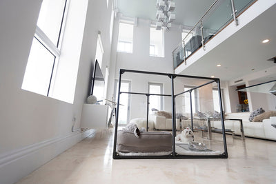 Clearly Loved Pets Medium Lucidium Clear Dog Pen