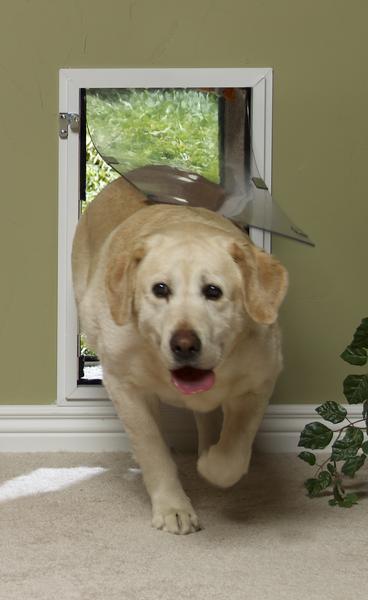 Hale Pet Door for Walls