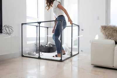 Clearly Loved Pets Medium Lucidium Clear Dog Pen